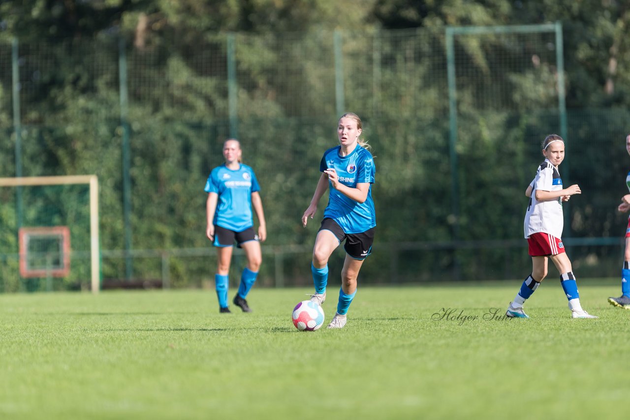 Bild 200 - wBJ VfL Pinneberg - Hamburger SV 2 : Ergebnis: 1:3